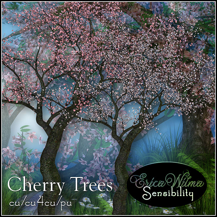 (image for) EW Cherry Trees 2020